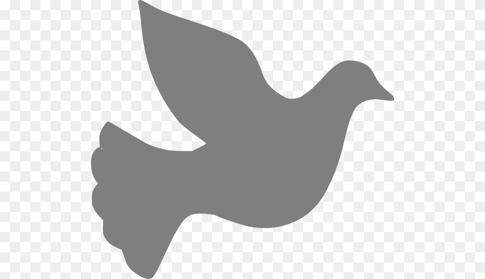 Cross And Clip Art Net Grey Dove Clipart, Silhouette, Animal, Bird, Blackbird Free Transparent Png