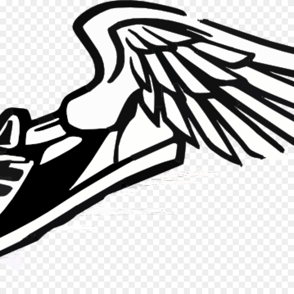 Cross Country Clip Art Clipart Animal, Bird, Vulture, Adult Free Png Download