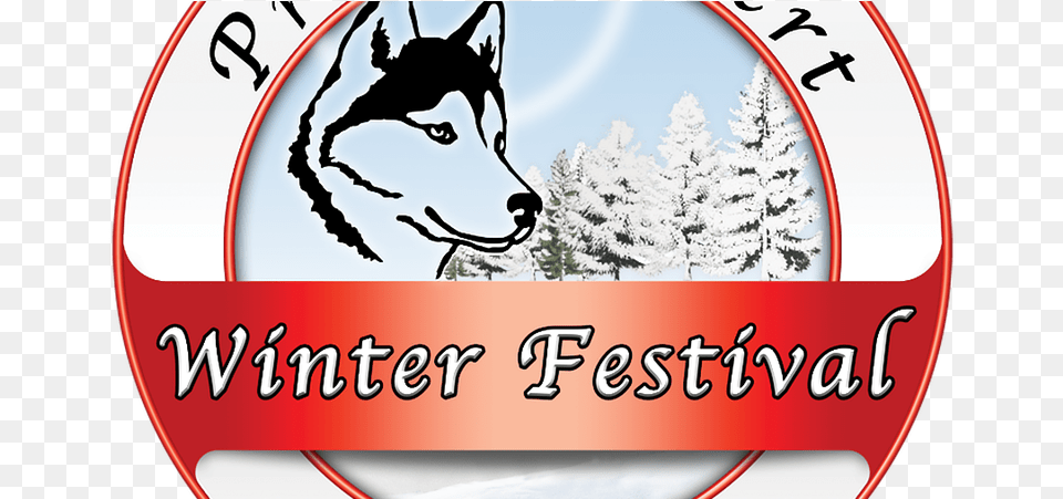 Cross Country Ski Lessons During Pa Winter Festival Mackenzie River Husky, Animal, Canine, Dog, Mammal Free Png Download