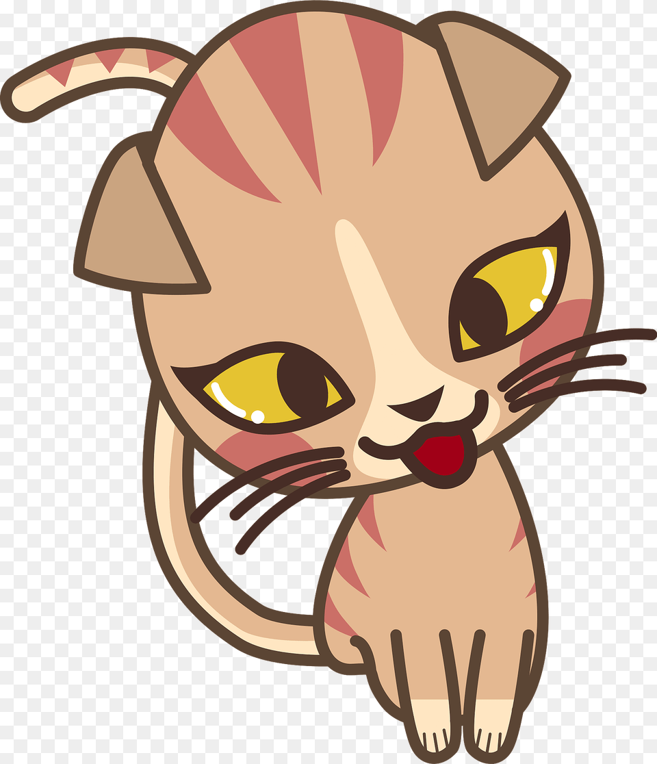 Cross Eyed Cat Clipart, Animal, Mammal, Pet, Baby Png Image