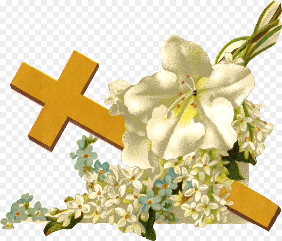 Cross Graphic, Flower, Plant, Symbol, Flower Arrangement Free Png