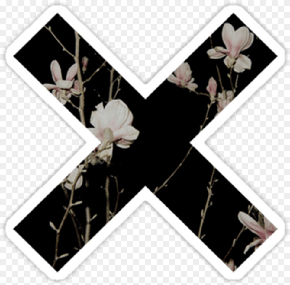 Cross Overlay X Edit Tumblr Flower Munloit, Plant, Petal Free Transparent Png