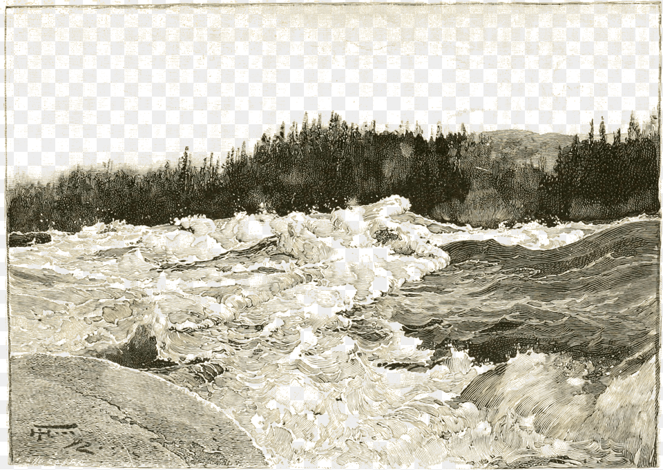 Cross View Of The Rapids Near The Brink Of The Grand Monochrome, Fir, Plant, Tree, Wood Free Transparent Png