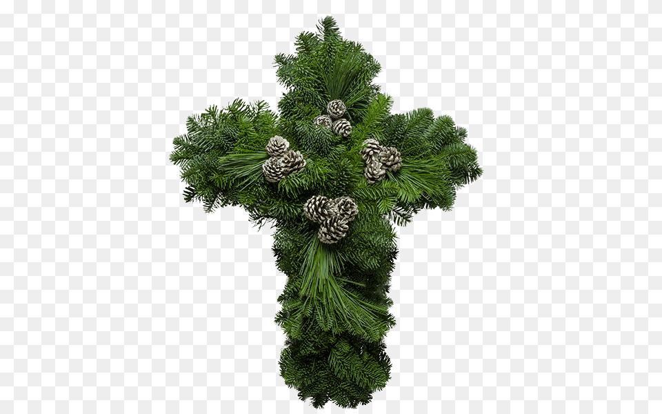 Cross Wreath Wreath, Conifer, Plant, Symbol, Tree Free Png Download