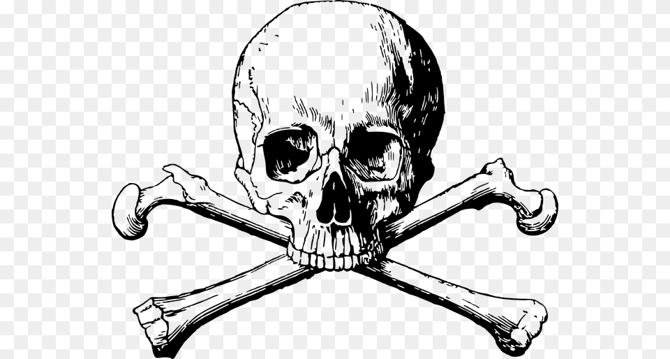 Crossbones Skull Danger Death Halloween Dead Skull And Crossbones, Gray Free Transparent Png