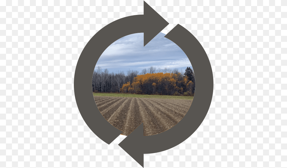 Crossed Out Circle, Photography, Plant, Tree, Outdoors Png