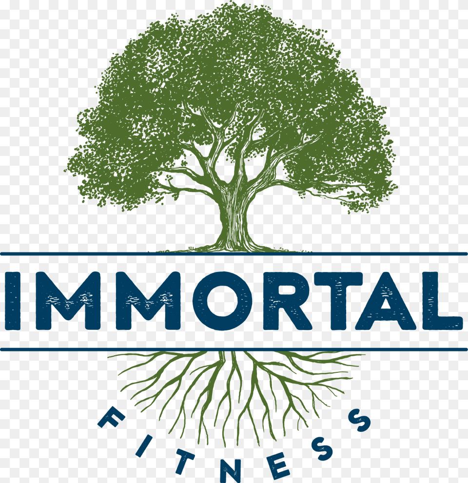 Crossfit Immortal, Oak, Plant, Tree, Sycamore Free Png