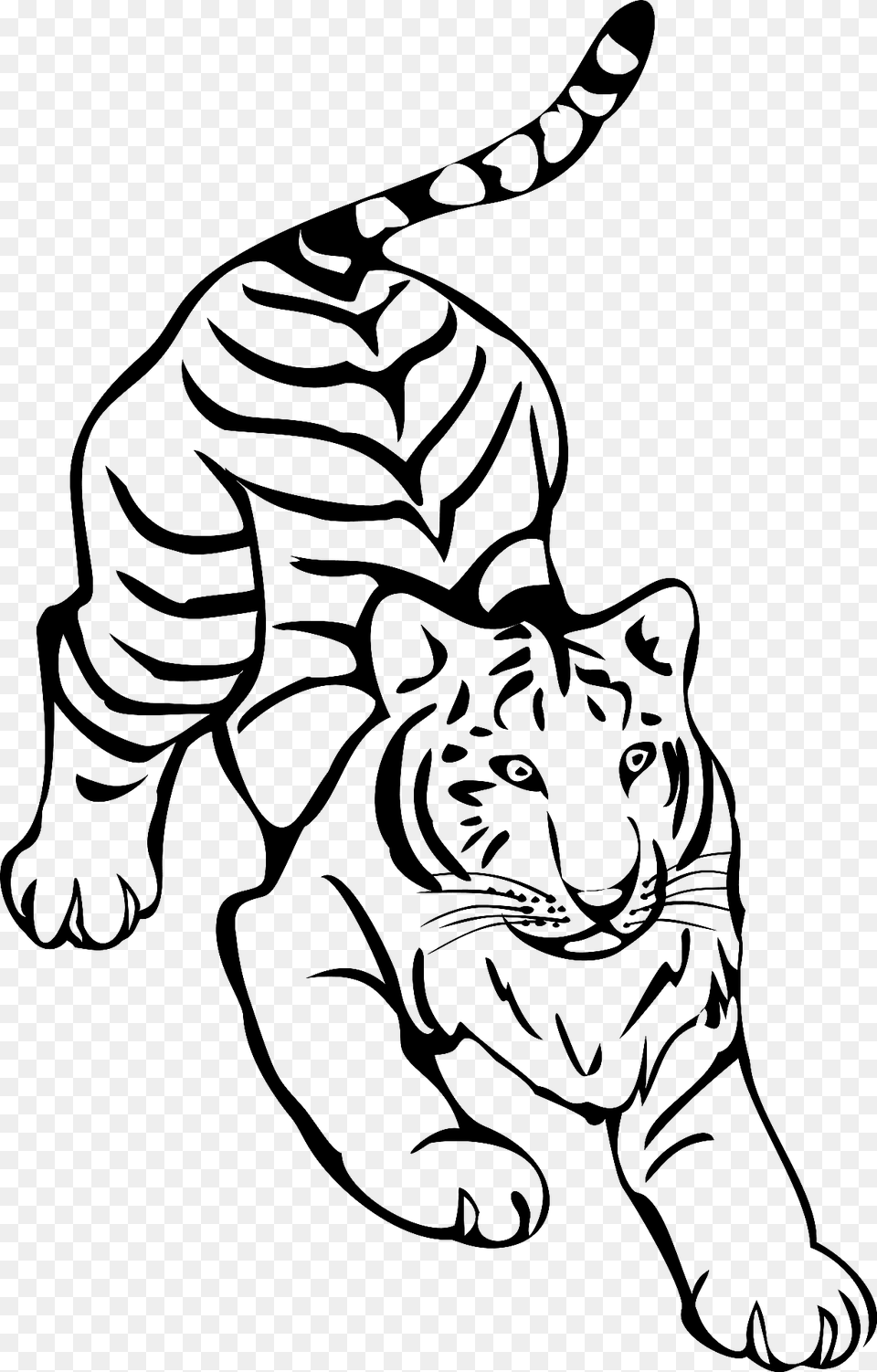 Crouching Tiger Black And White Clipart, Animal, Wildlife, Mammal, Panther Free Png Download
