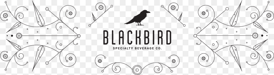 Crow, Animal, Bird, Blackboard Png Image