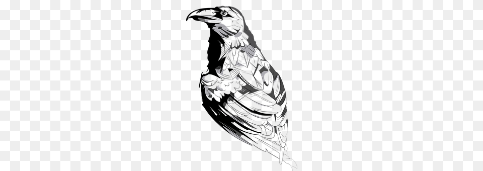 Crow Adult, Bride, Female, Person Free Transparent Png