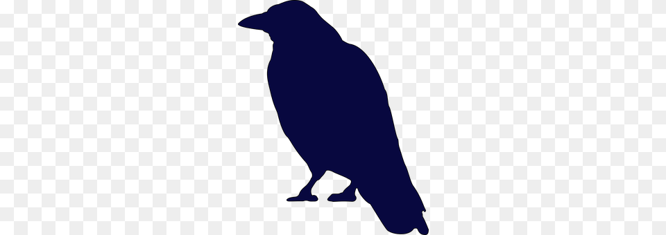 Crow Animal, Bird, Person Png