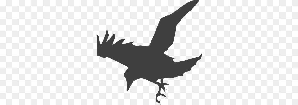 Crow Silhouette, Animal, Bird, Flying Free Png