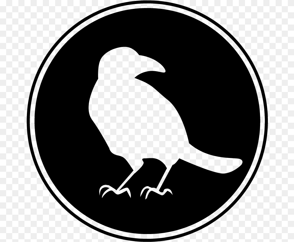 Crow, Gray Png