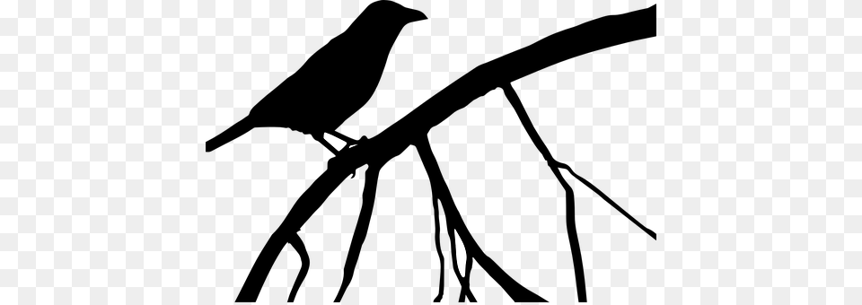 Crow Silhouette, Lighting Free Transparent Png