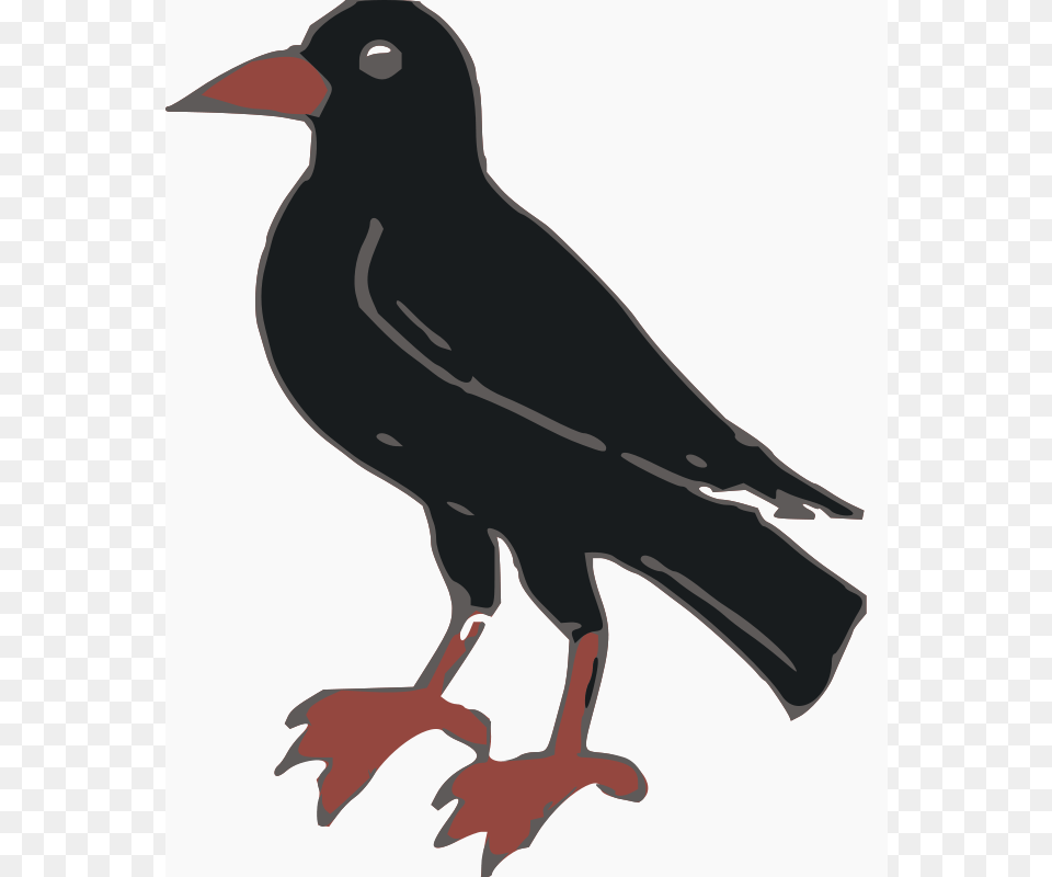 Crow, Animal, Bird, Blackbird, Kangaroo Free Png Download