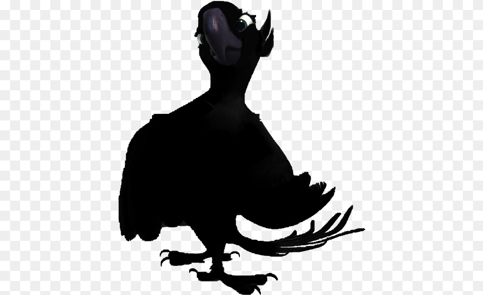Crow Bird Birb Rio Blu Jewel Lol Why Black Rio, Animal, Vulture, Adult, Female Png