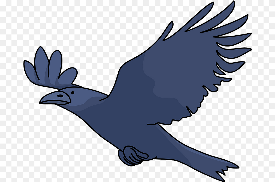 Crow Bird Clipart Download Creazilla Illustration, Animal, Flying, Vulture, Blackbird Png Image