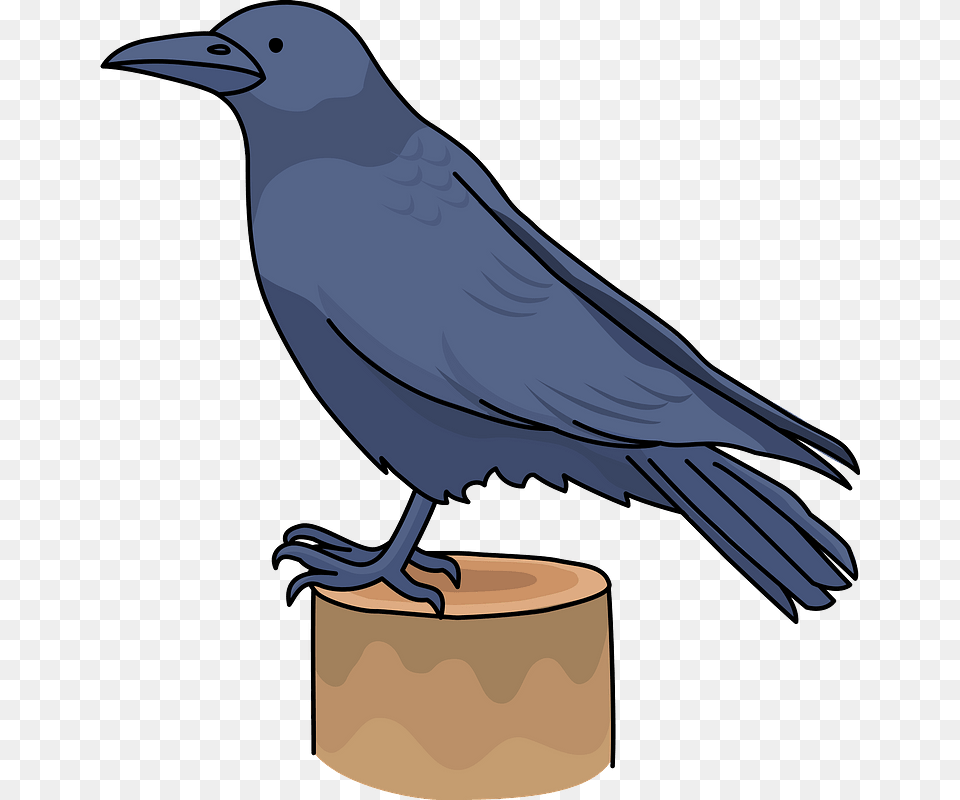 Crow Bird Clipart Raven, Animal, Blackbird, Fish, Sea Life Free Png