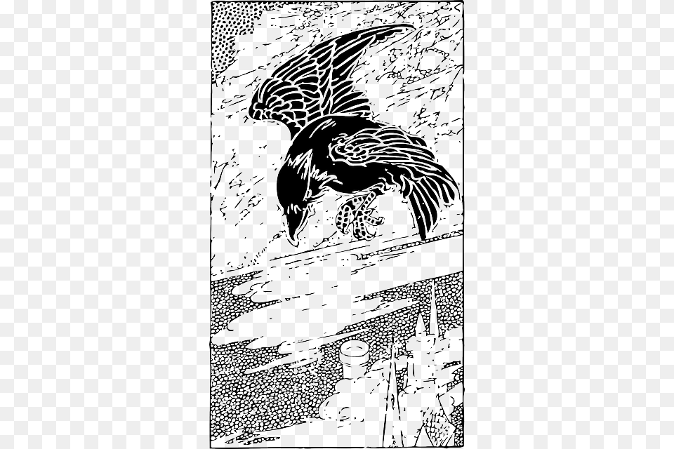 Crow Bird Drawing Raven Drawings, Publication, Book, Comics, Animal Free Png Download