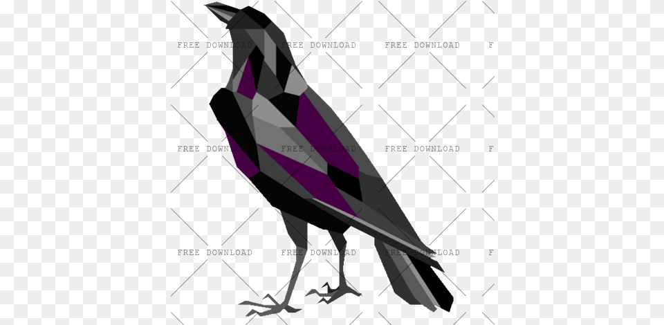 Crow Bird With Transparent Background Photo, Rocket, Weapon, Animal Png Image