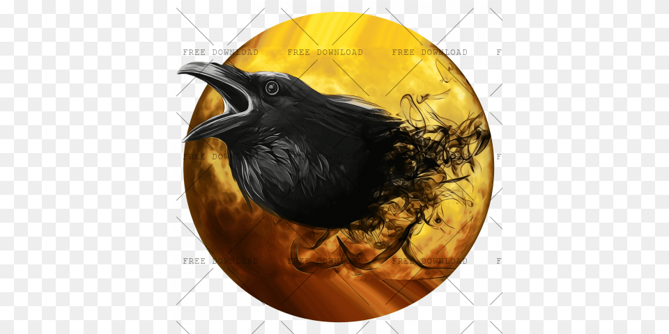 Crow Bird Image With Transparent Background Photo, Animal, Blackbird, Sphere Free Png