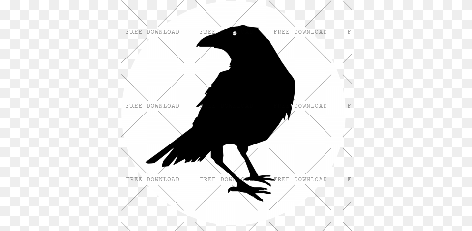 Crow Bird Image With Transparent Royalty Raven Silhouette, Animal, Blackbird, Fish, Sea Life Free Png Download