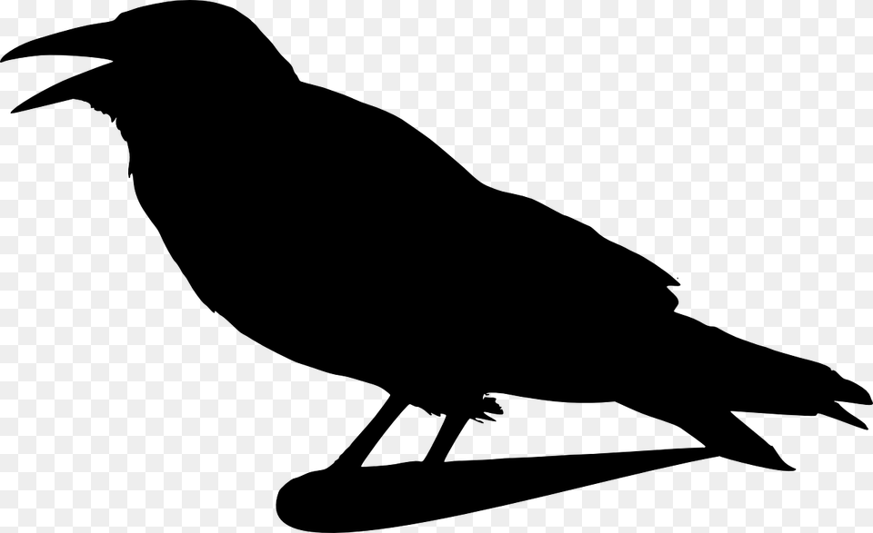 Crow Clip Art, Gray Free Png