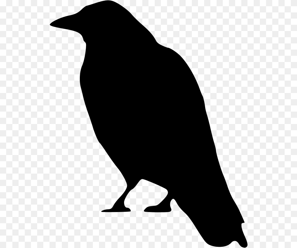 Crow Clip Art, Gray Free Png Download