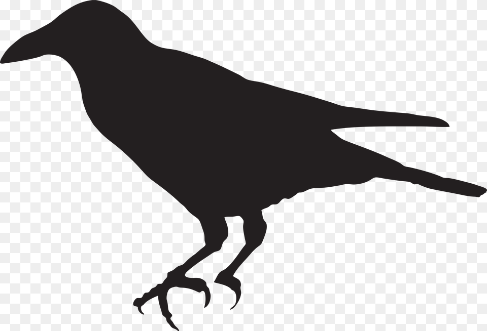 Crow Clip Art, Animal, Bird, Person Free Png Download