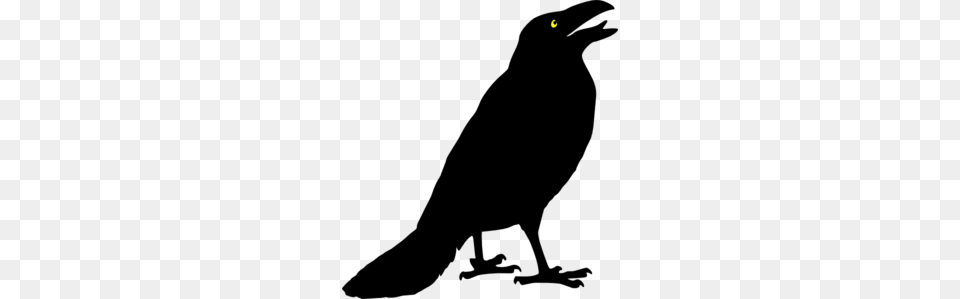 Crow Clip Art Free Transparent Png