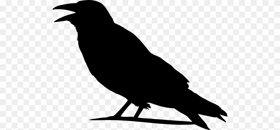 Crow Clip Art Clipart Photo Clipart, Silhouette, Animal, Bird, Fish Free Transparent Png
