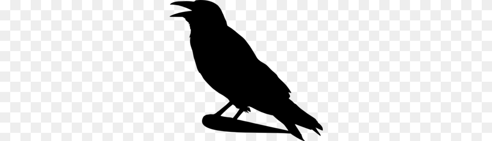 Crow Clip Art Crow Clip Art For The Home Clip, Gray Free Png