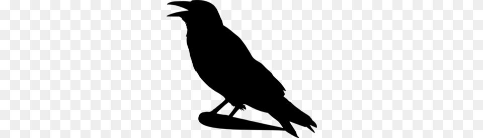 Crow Clip Art Gray Free Png