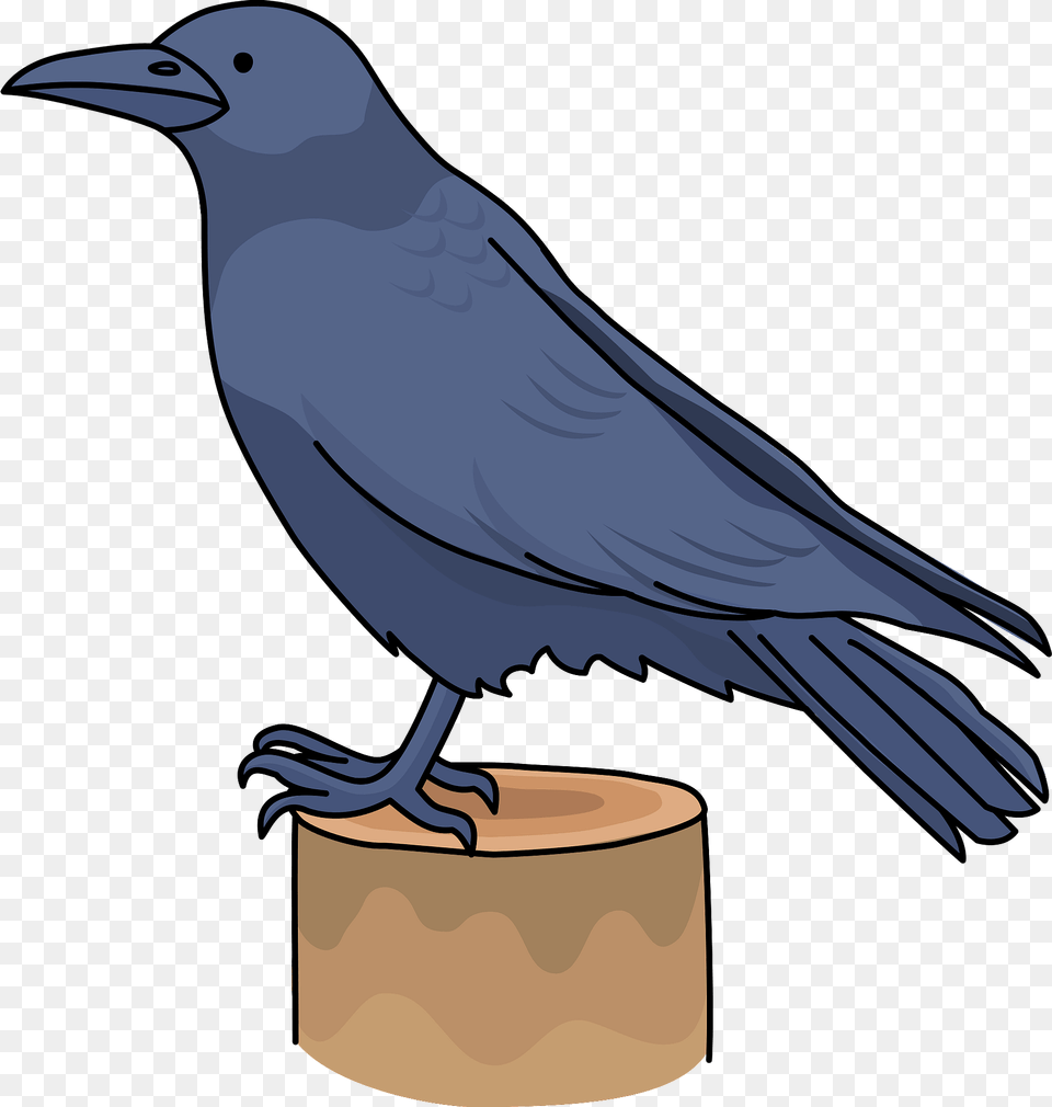 Crow Clipart, Animal, Bird, Blackbird Png Image
