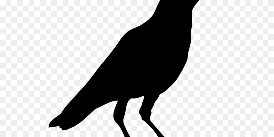 Crow Clipart, Silhouette, Bow, Weapon, Animal Free Png