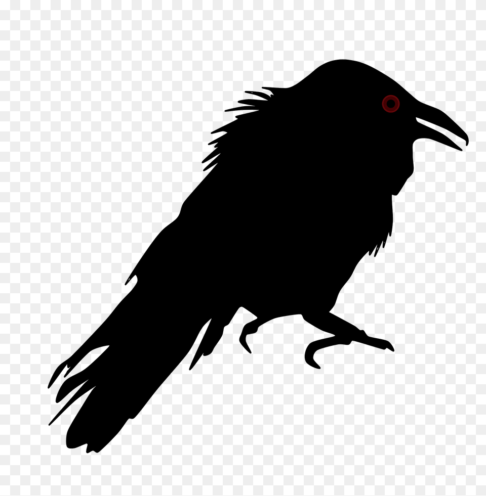 Crow Clipart, Animal, Bird, Blackbird, Beak Free Png