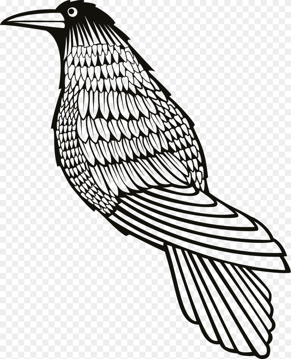 Crow Clipart, Animal, Bird, Blackbird Free Png Download