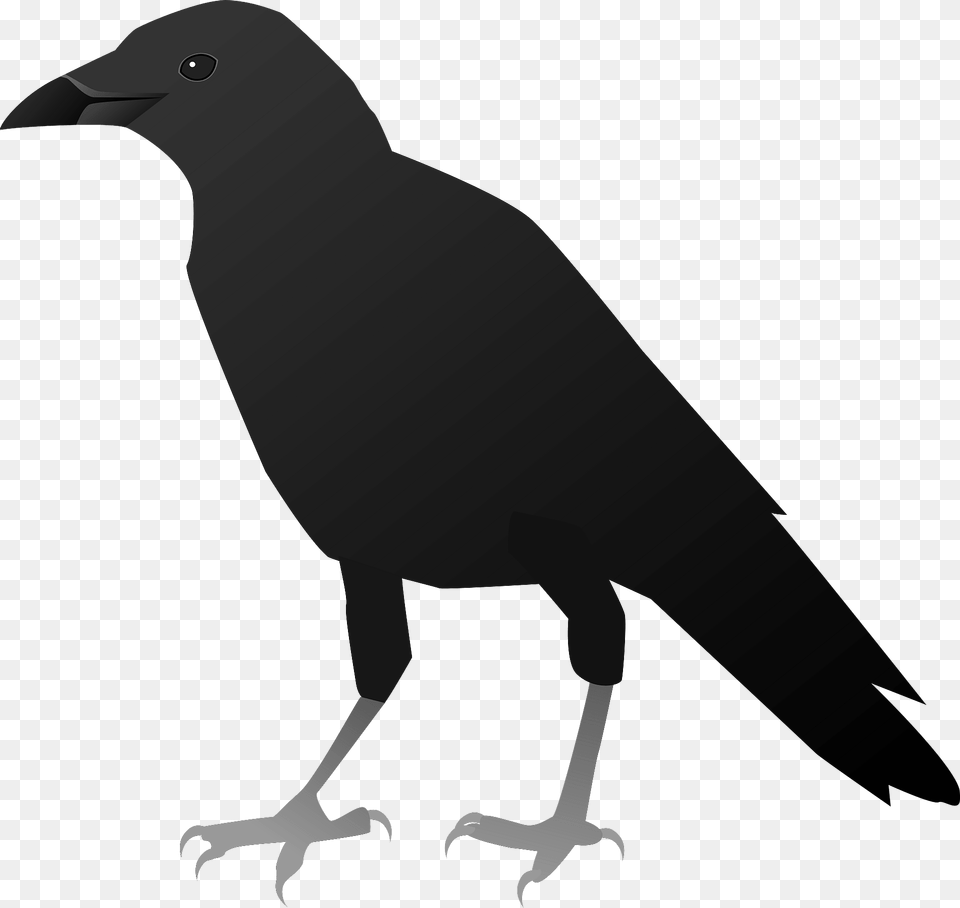 Crow Clipart, Animal, Bird, Blackbird, Fish Free Png