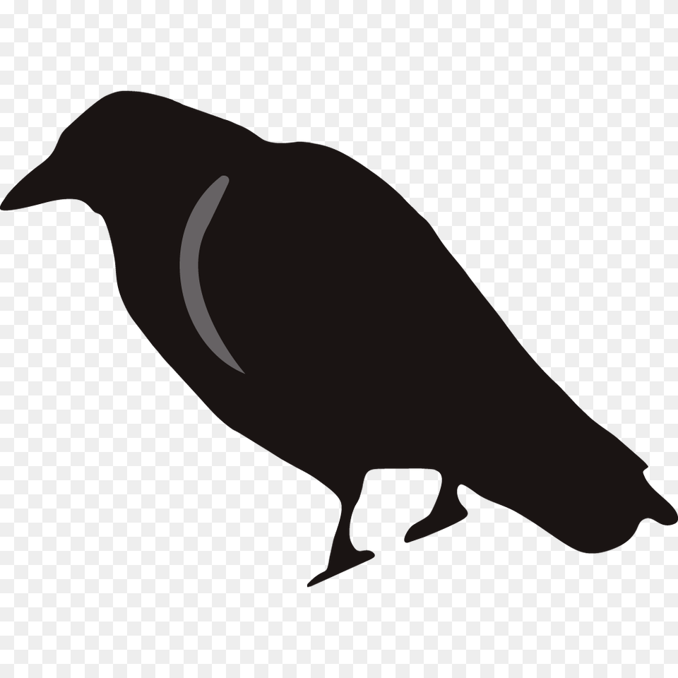 Crow Clipart, Animal, Bird, Quail, Fish Png Image