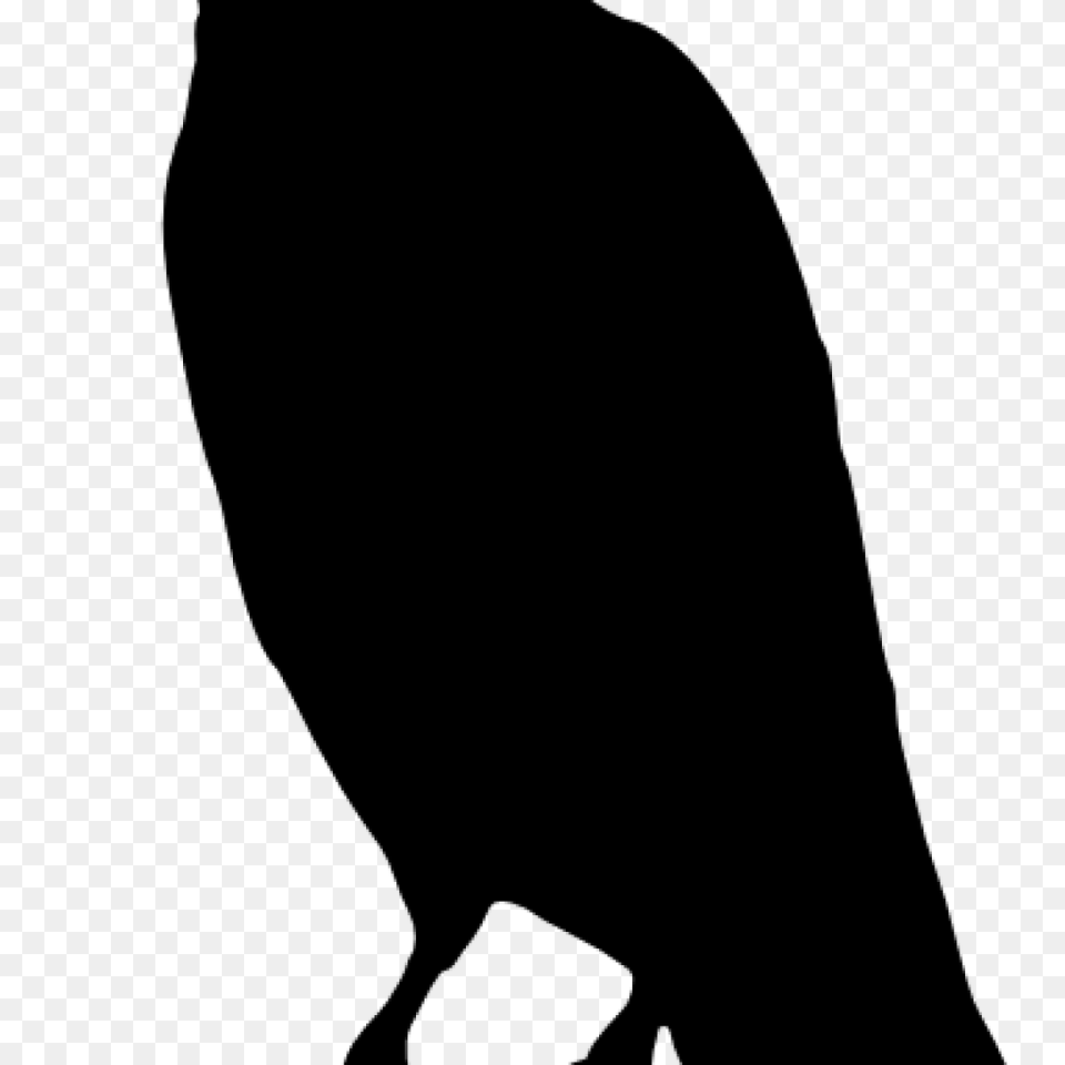 Crow Clipart Bat Clipart House Clipart Online Download, Gray Png