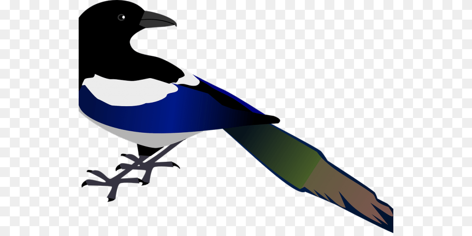 Crow Clipart Black And White, Animal, Bird, Jay, Magpie Free Transparent Png