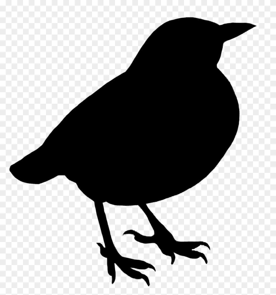 Crow Clipart Black Object Clip Art Free Bird Silhouette, Gray Png