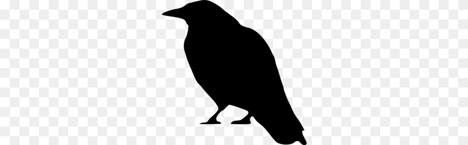 Crow Clipart Cheese, Gray Free Transparent Png