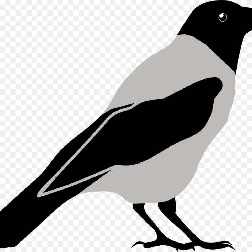 Crow Clipart Clip Art Black And White Panda Images Crow Clip Art, Animal, Bird, Magpie, Fish Free Png Download