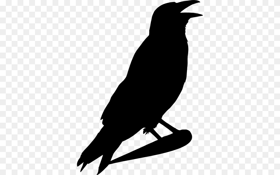 Crow Clipart Clip Art Images, Silhouette, Animal, Bird, Blackbird Free Png Download