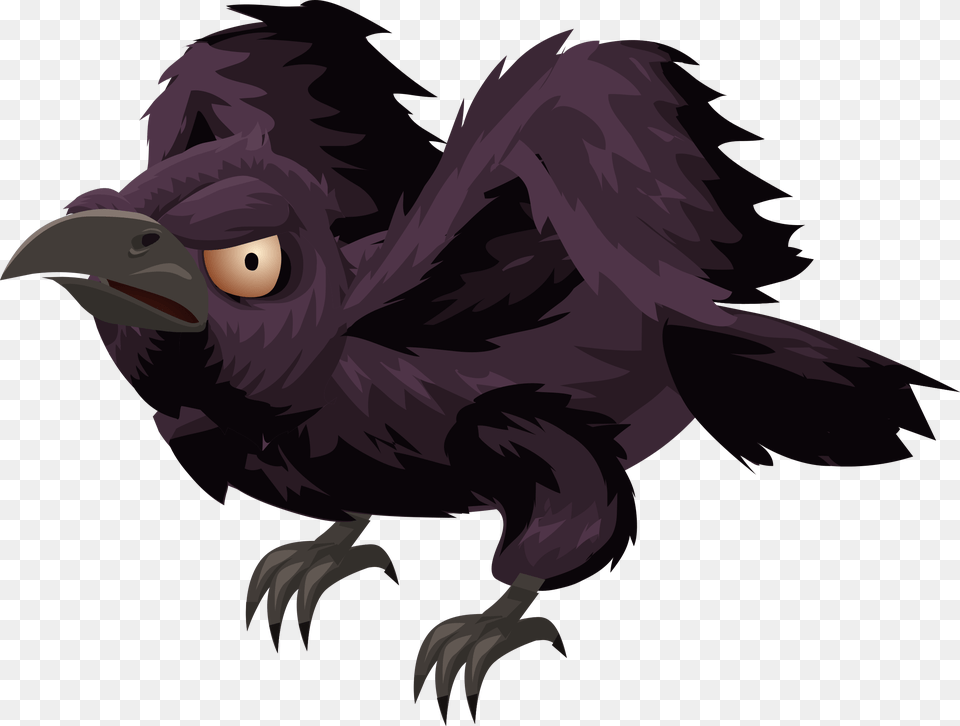 Crow Clipart Rook Evil Bird Clipart, Animal, Vulture, Beak, Blackbird Free Transparent Png