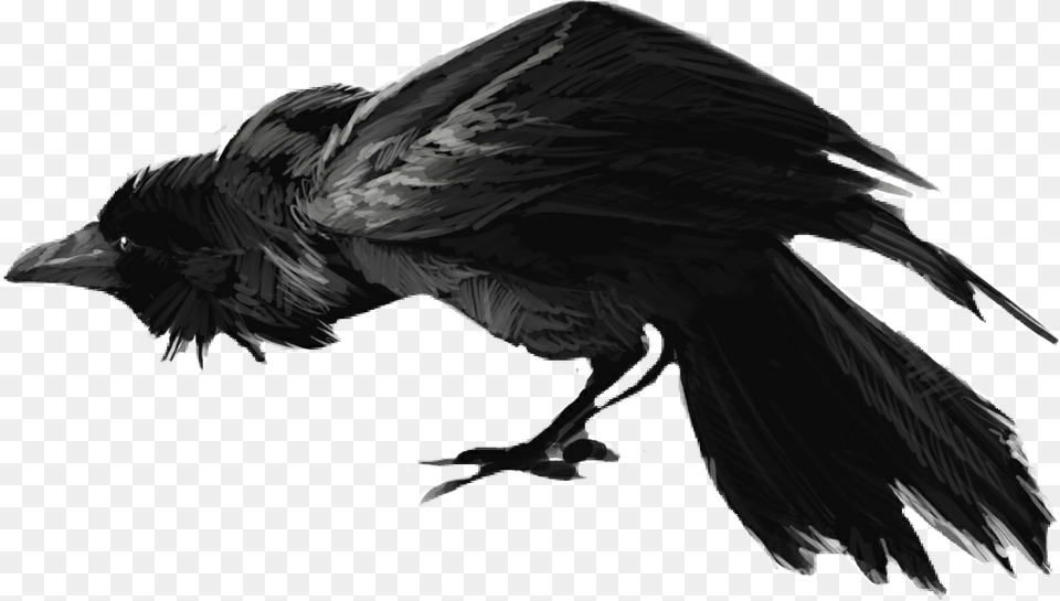 Crow Clipart Scary Scary Raven, Animal, Bird, Blackbird Png