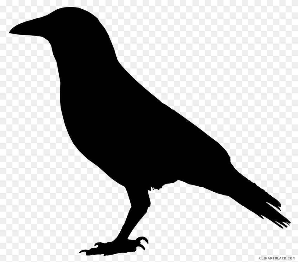 Crow Clipart Silhouette, Gray Free Png Download