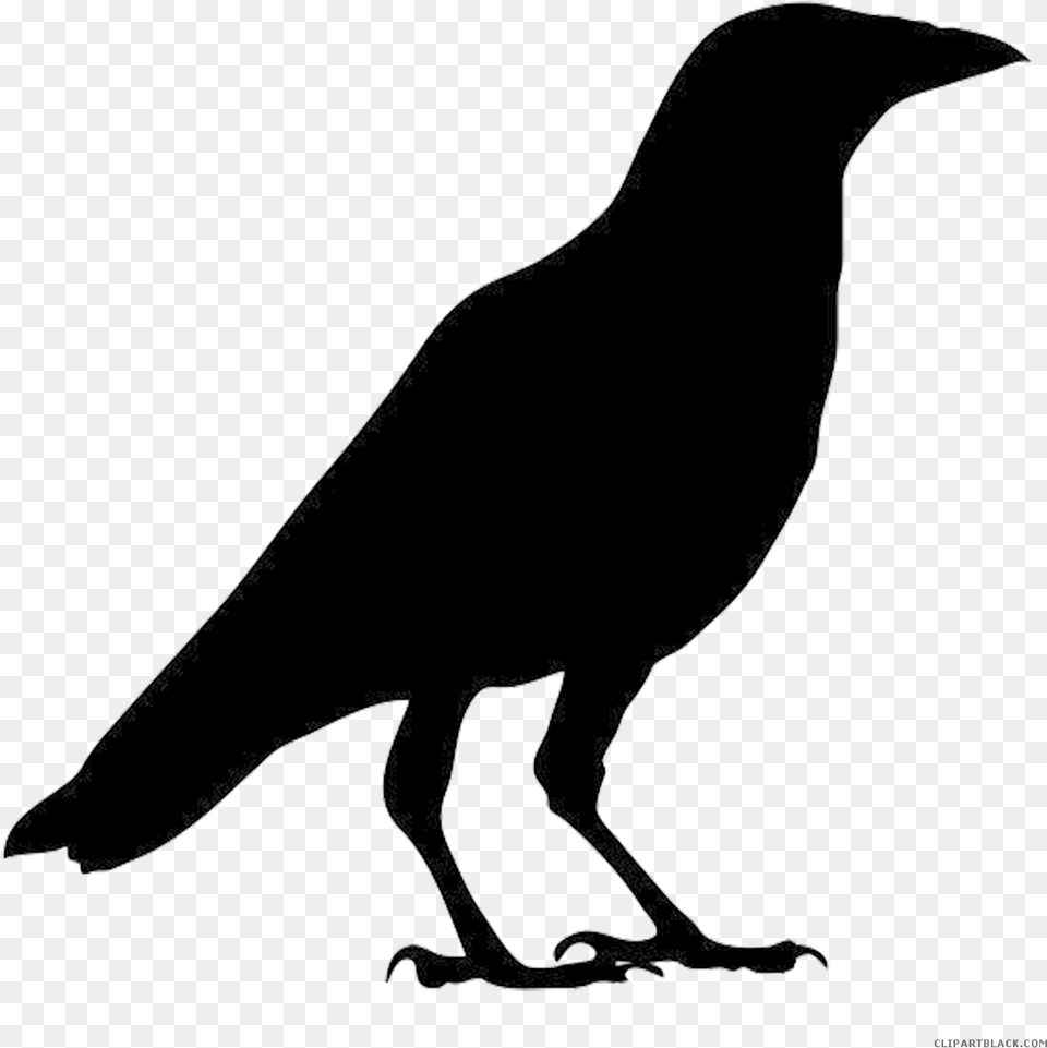 Crow Clipart Silhouette Outline Images Of Crow, Animal, Fish, Sea Life, Shark Png