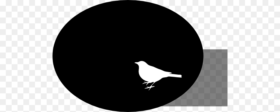 Crow Clipart White Background, Stencil, Animal, Bird, Silhouette Free Png